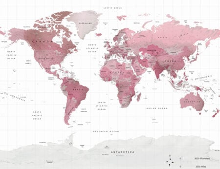Fototapety Pink Traveller białe tło i różowa mapa świata | 3d tapeta