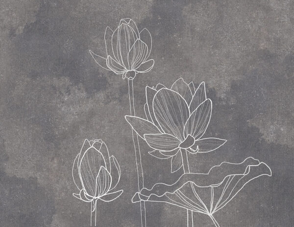 Fototapety Water Lilly Grey przykład odcieni szarości | fototapeta kwiaty