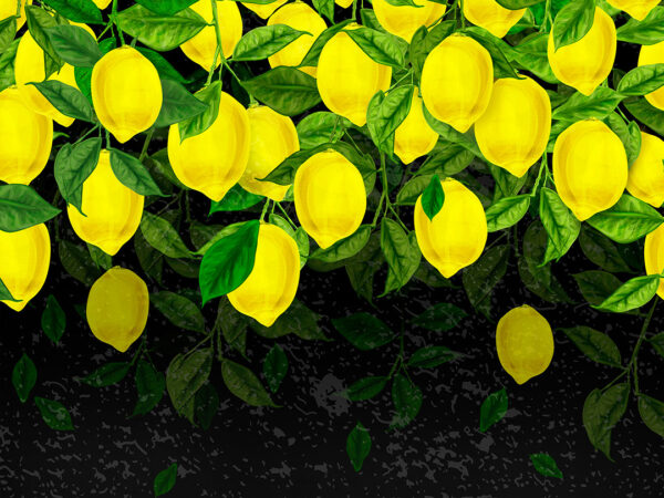 Fototapety Natura Słoneczne Cytryny czarne odcienie | fototapeta i tapety 3d