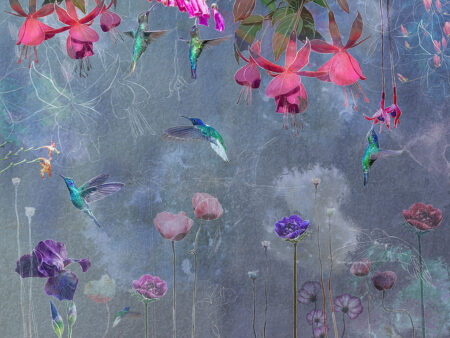 Fototapeta Koliber niebieski | fototapeta kwiaty