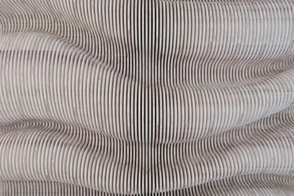 Fototapety Wood Maple szarobrązowy odcień | tapety 3d