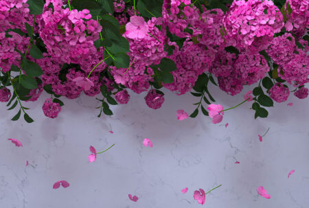Fototapety 3D Ortensie Rose jasne odcienie | fototapeta kwiaty