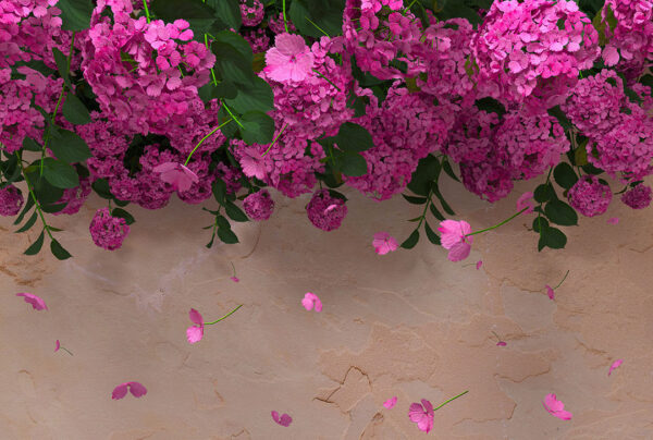Fototapety 3D Ortensie Rose różowe tło | fototapeta kwiat