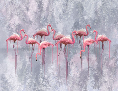 Fototapety Zwierzęta Fenicottero różowe flamingi