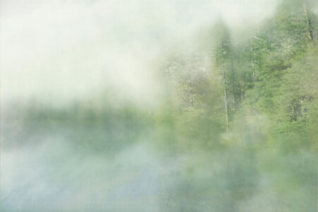 Fototapety Foggy Forest Cyan | fototapeta las we mgle