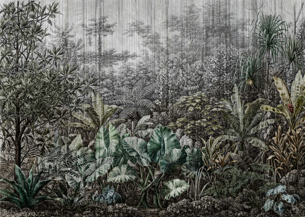 Las deszczowy z różnymi drzewami w zielone odcienie ostre tło