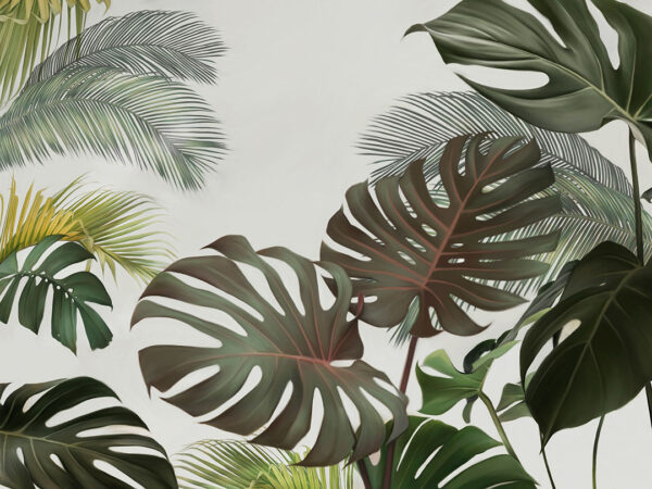 Fototapeta duże tropikalne liście monstery i palmy na jasnym tle