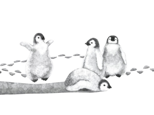 Fototapeta dziecięca akwarela czarno-białe pingwiny na białym tle