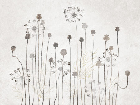Fototapeta delikatne minimalistyczne rośliny i dmuchawce w odcieniach szarości