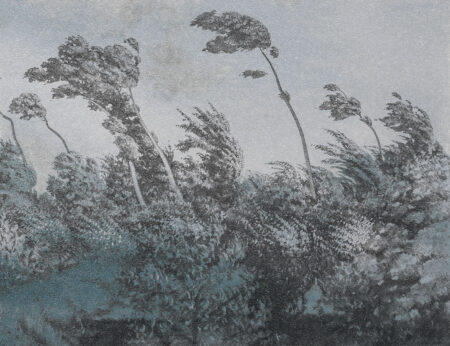 Fototapeta z grawerunkiem szarego lasu w stylu vintage