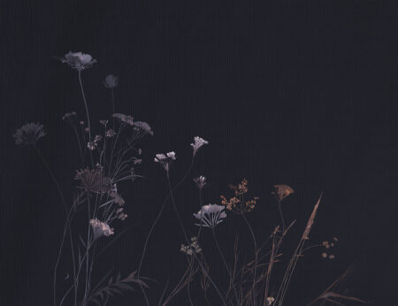 Fototapeta delikatne polne kwiaty na ciemnym tle