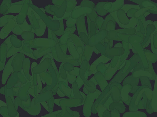 Fototapeta z abstrakcyjnymi kształtami w kolorze zielonym