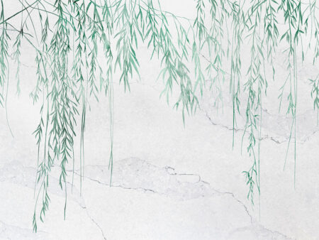 Fototapeta z delikatnymi zielonymi gałęziami i liśćmi na betonowej ścianie
